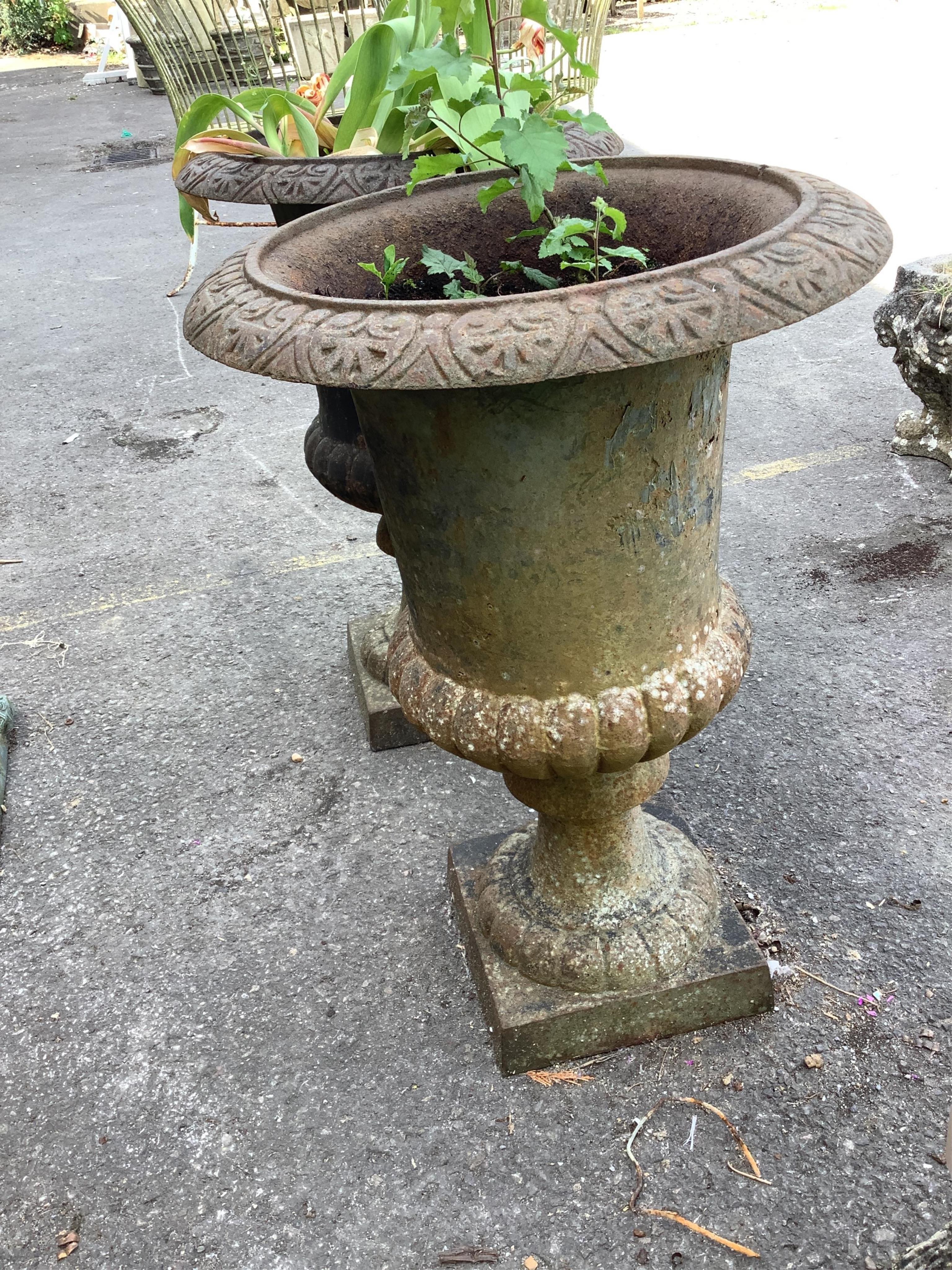 A pair of Victorian style cast iron campana garden urns, diameter 48cm, height 70cm
